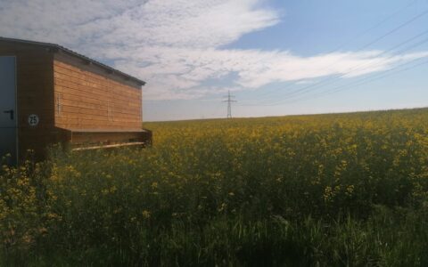 IMG-20230221-WA0020-1